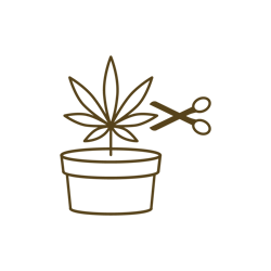 Boveda_Icons_Cut Cannabis Boveda_Icons_Cut Cannabis
