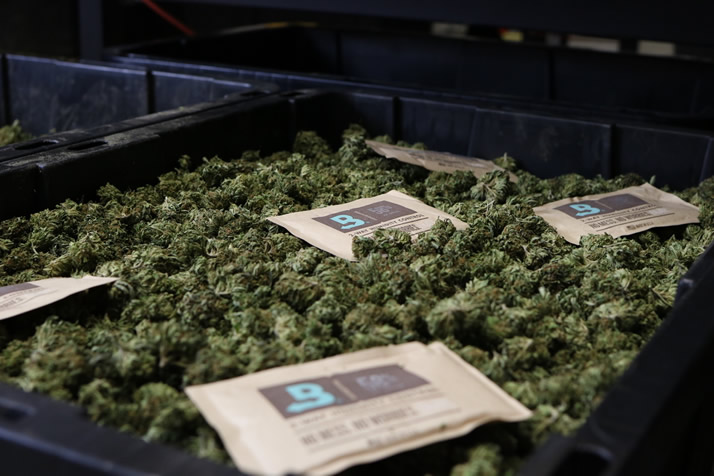 boveda-image-cure-1 boveda-image-cure-1