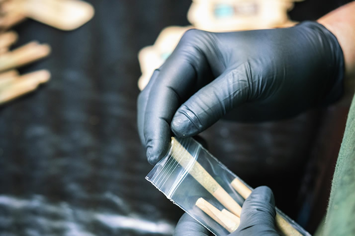 boveda-image-cure-2 boveda-image-cure-2