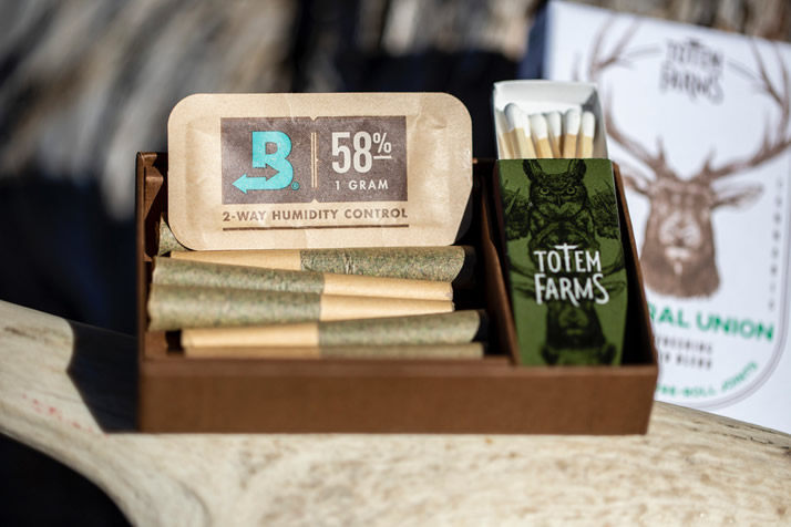 boveda-image-cure-3 boveda-image-cure-3