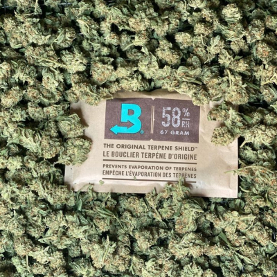 @Boveda Cannabis on Instagram